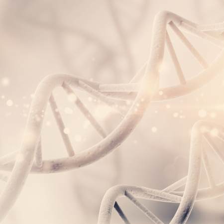 Imagen de servicio de test de epigen&eacute;tica